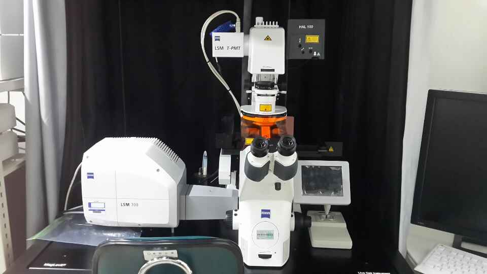 공초점 레이저 현미경