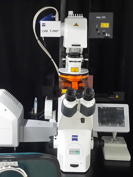 [Core] Confocal Laser Scanning Microscope -2
