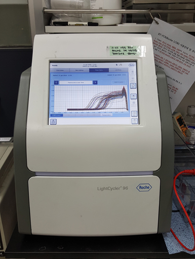 Realtime-PCR -2